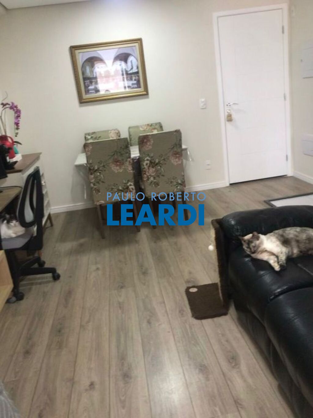 Apartamento
