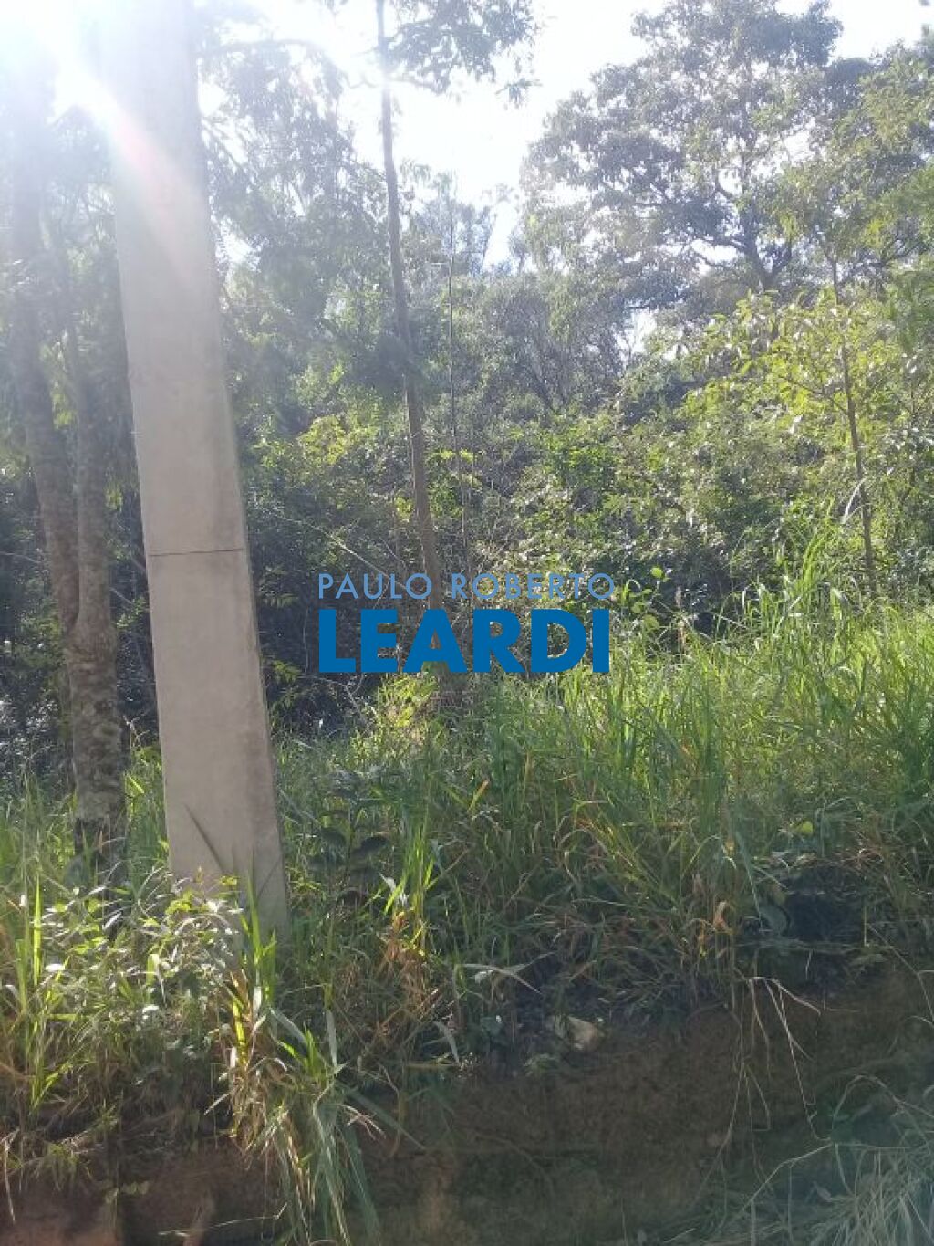 Lote/Terreno