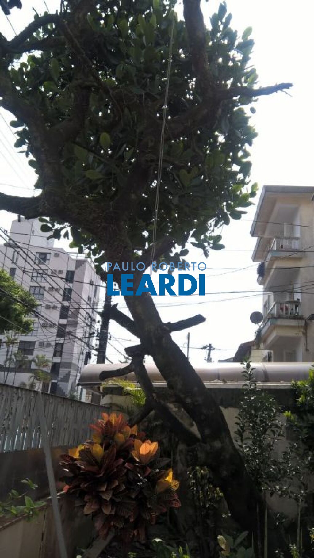 Lote/Terreno