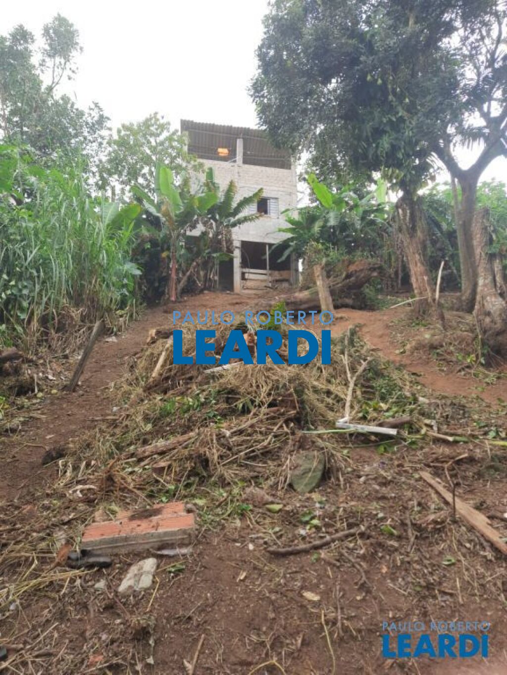 Lote/Terreno