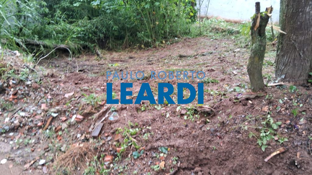 Lote/Terreno