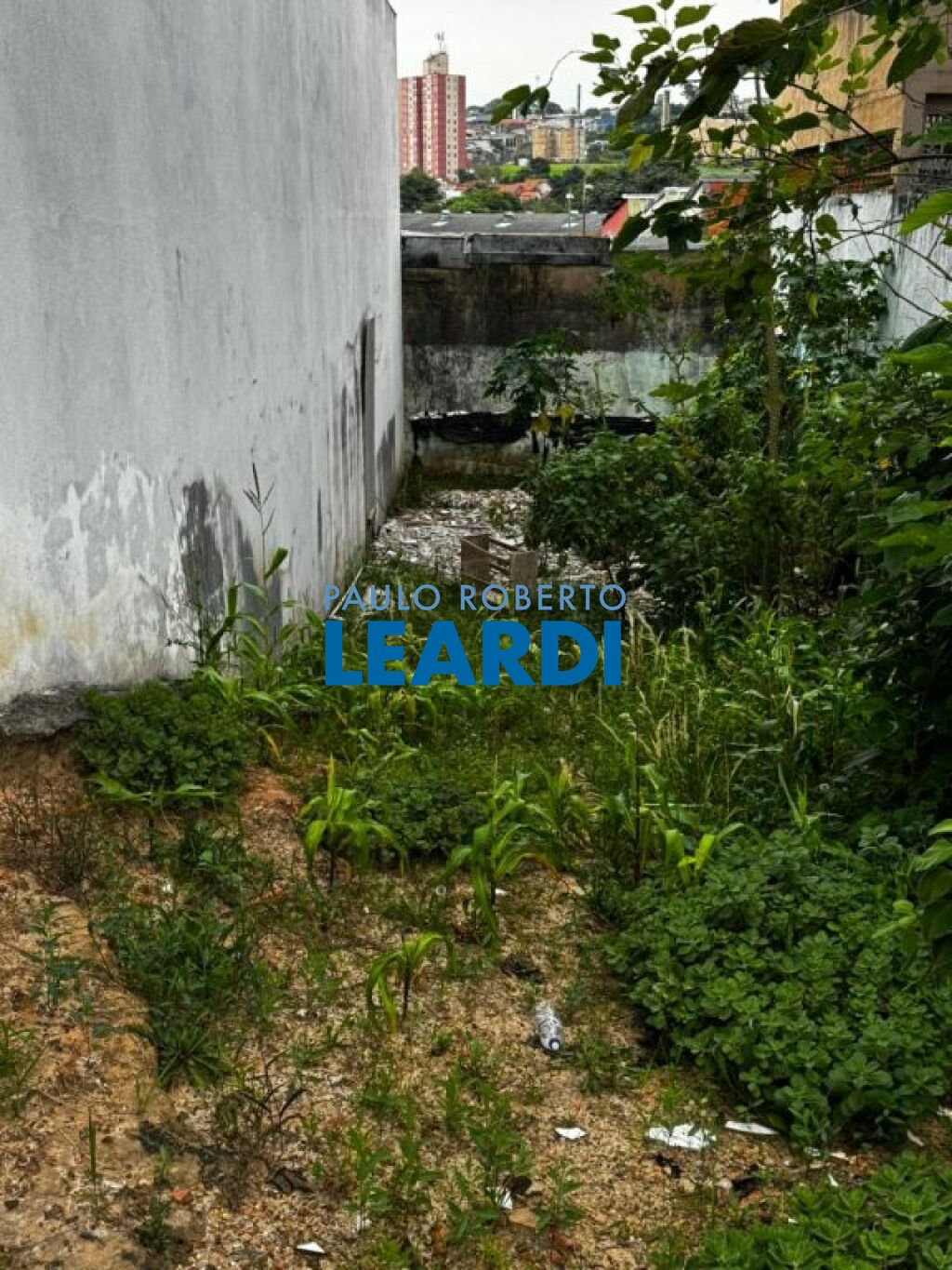 Lote/Terreno