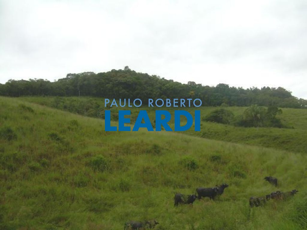 Lote/Terreno