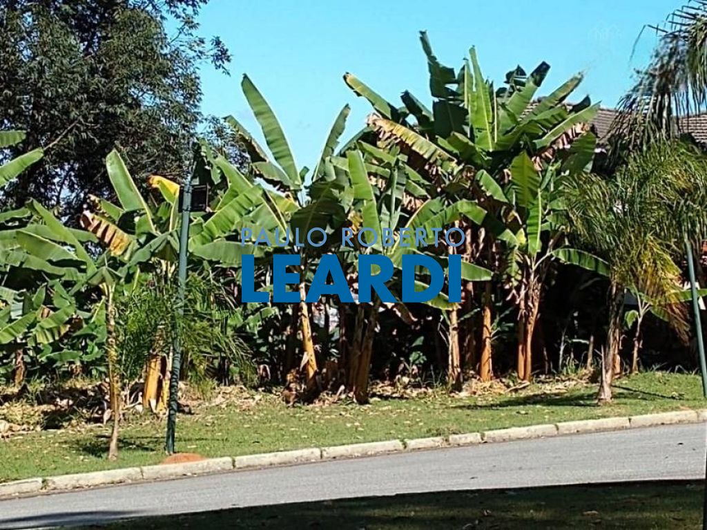 Lote/Terreno