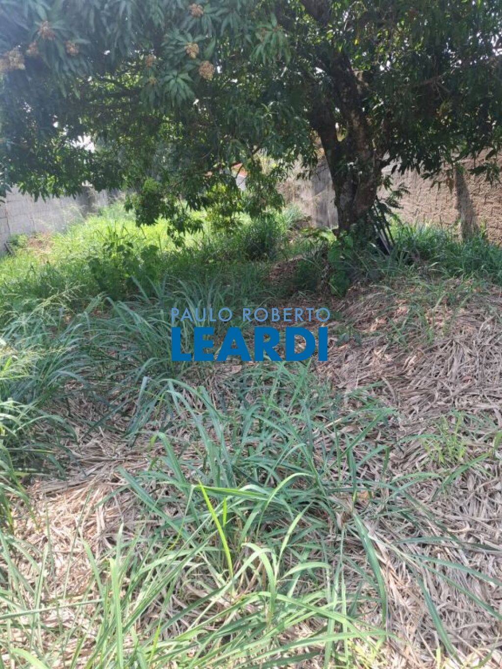 Lote/Terreno