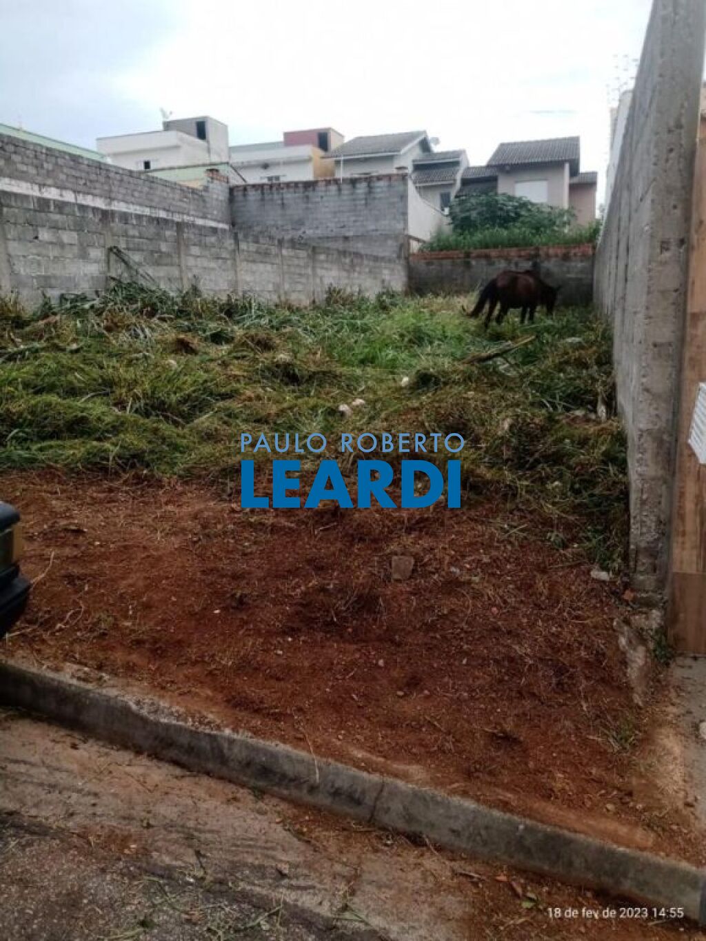 Lote/Terreno