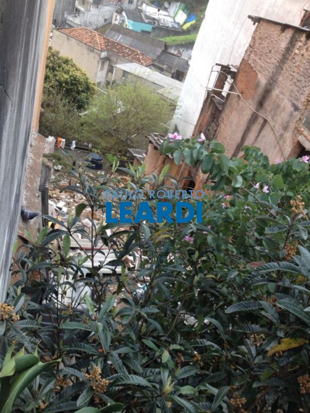 Lote/Terreno