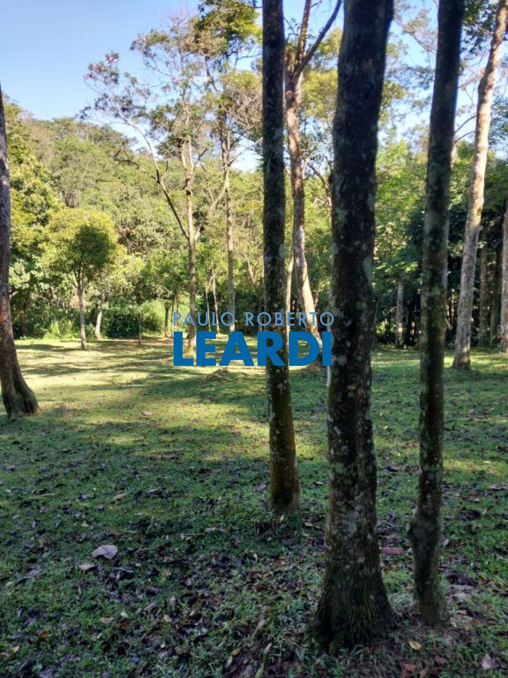 Lote/Terreno