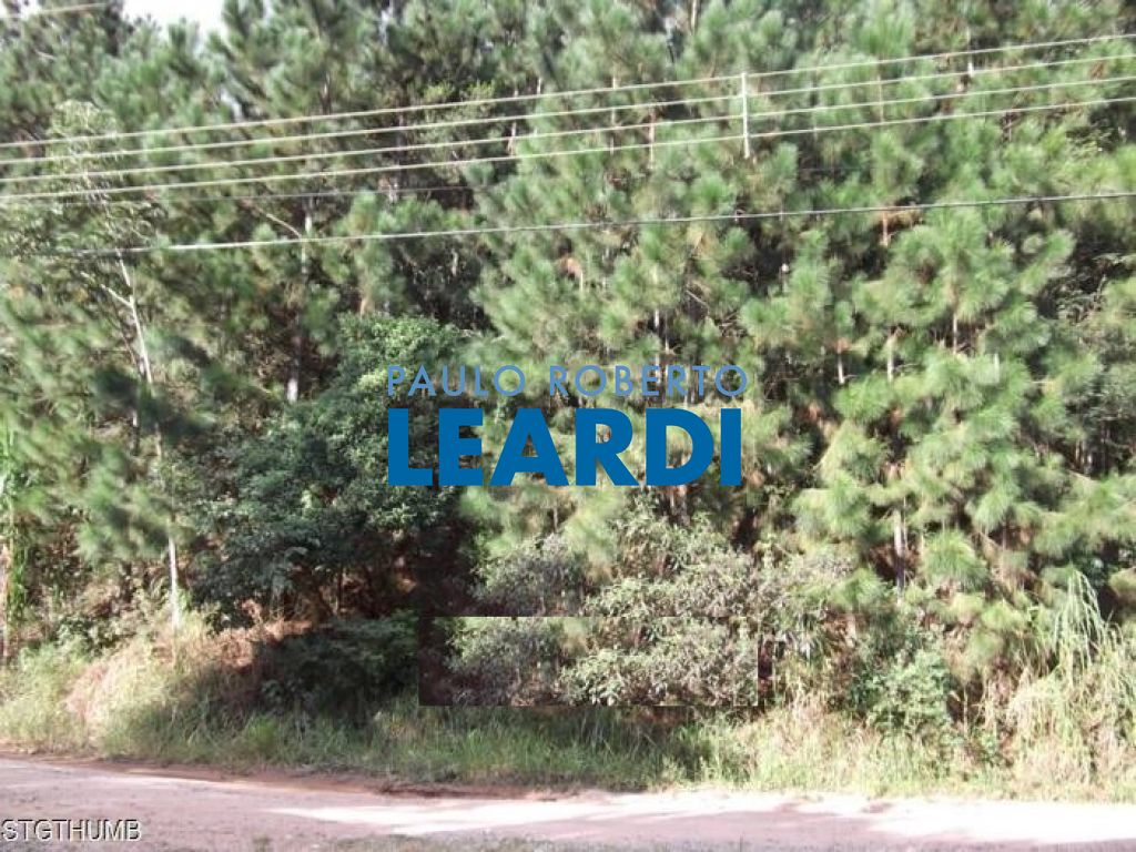 Lote/Terreno